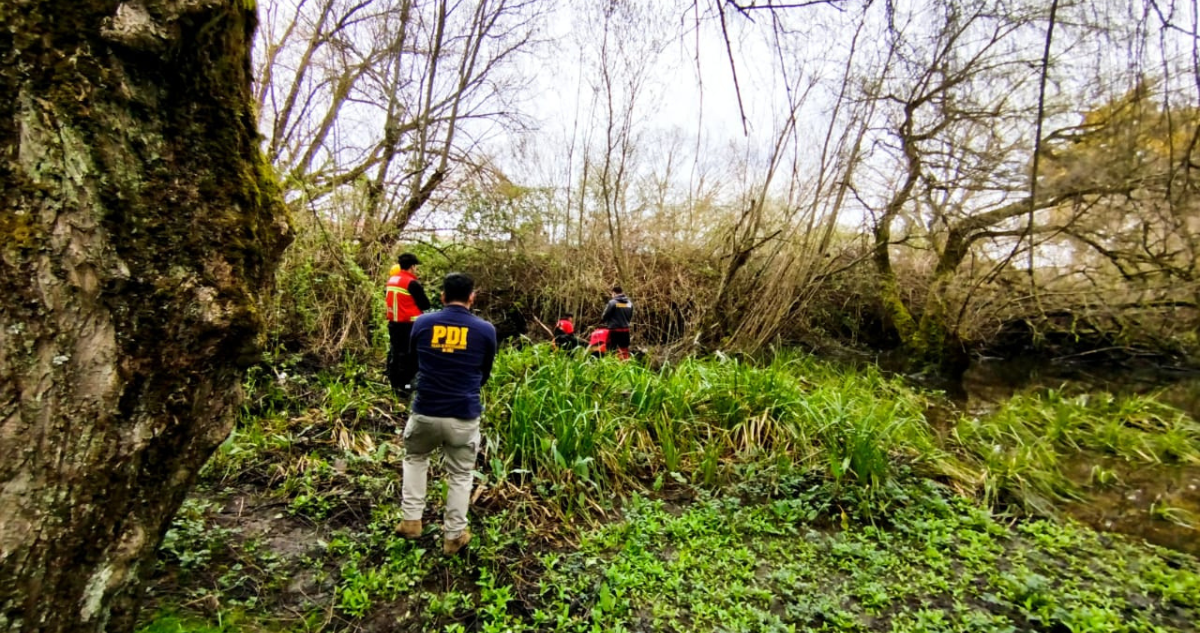 Hallan cadáver en Osorno: indagan si corresponde a adulto mayor extraviado