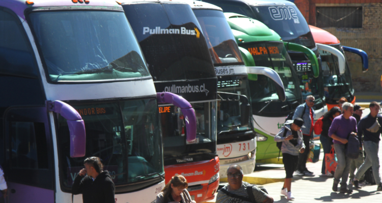 ¿Viajarás en Fiestas Patrias? Estas son las líneas de buses que acumulan más multas en 2024