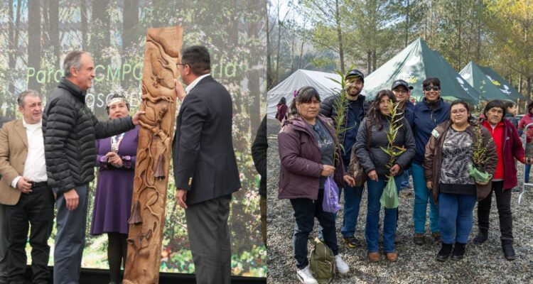 Inauguran tercer parque de la red Bosque Vivo de CMPC en Loncoche: mide más de 1.700 hectáreas