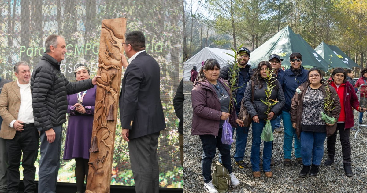 Inauguran tercer parque de la red Bosque Vivo de CMPC en Loncoche: mide más de 1.700 hectáreas