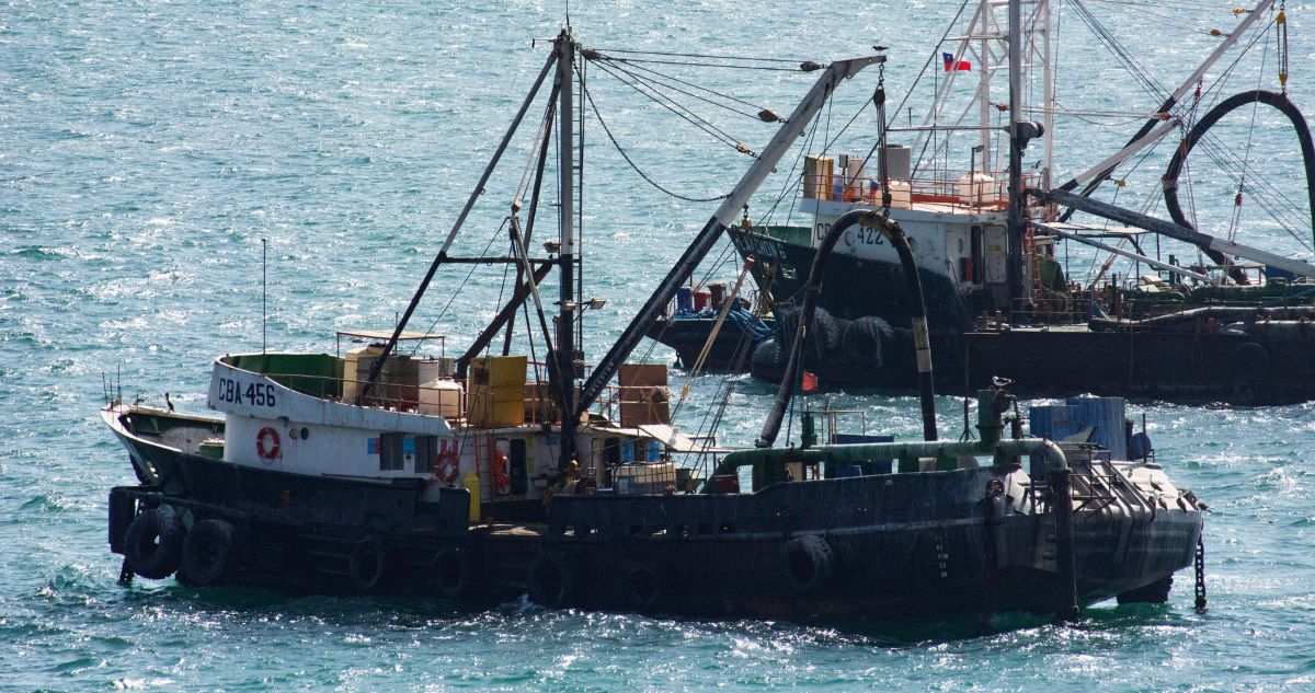Pescadores industriales llegan hasta la Cámara para reclamar contra proyecto que fracciona la pesca