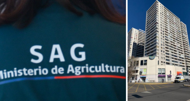 Personal del SAG por pitón desaparecida en Valparaíso