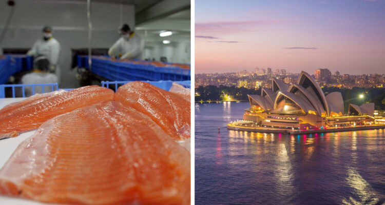 Cristian Duarte | Agencia UNO | Patty Jansen | Pixabay