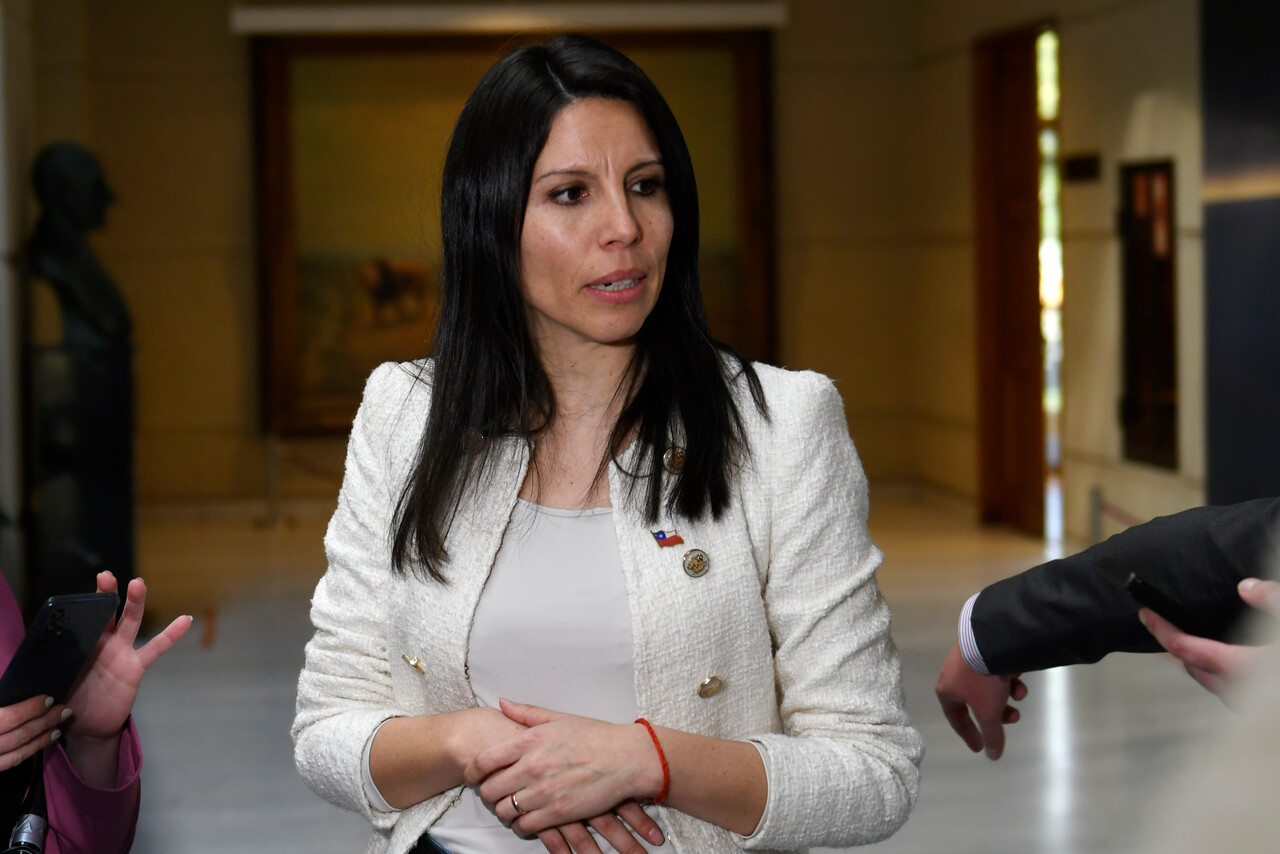 Senadora María José Gatica conversa con la prensa en los pasillos del senado