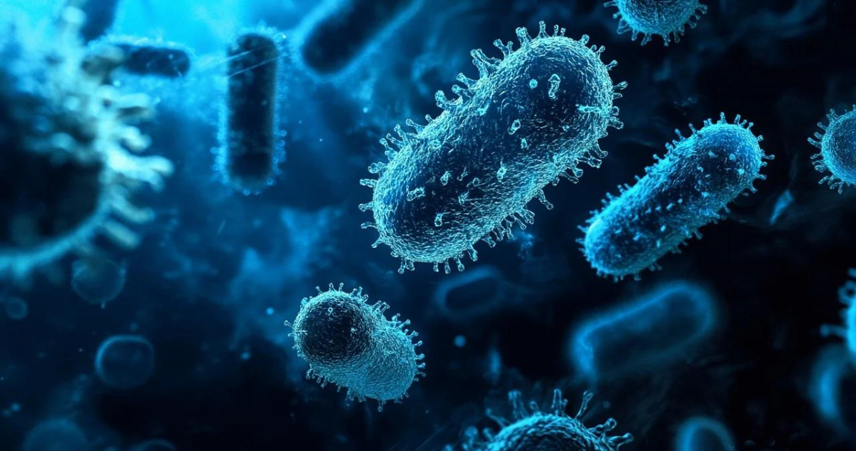 Estudio: Superbacterias resistentes a antibióticos podrían matar a 40 millones de personas para 2050