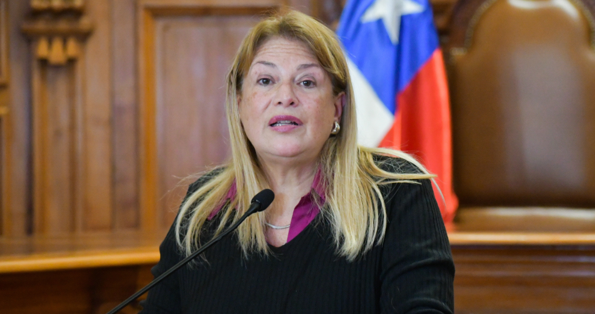suspensión ministra vivanco
