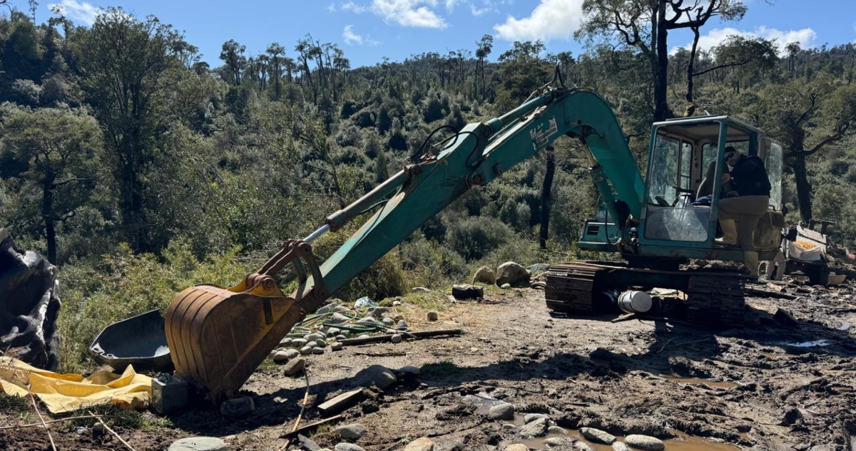 Tala y sustracción de madera nativa en Puerto Montt