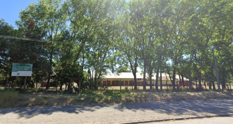 Roban 15 vacunos faenados