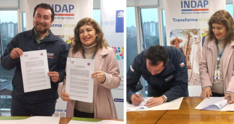 Seremi de salud e indap