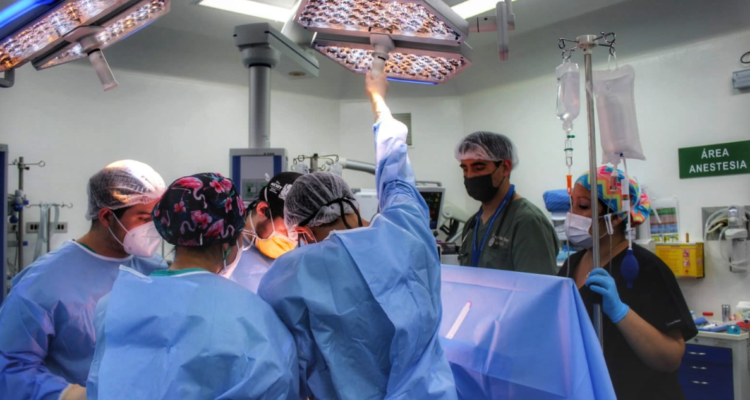 procuramiento de órganos en Los Ángeles