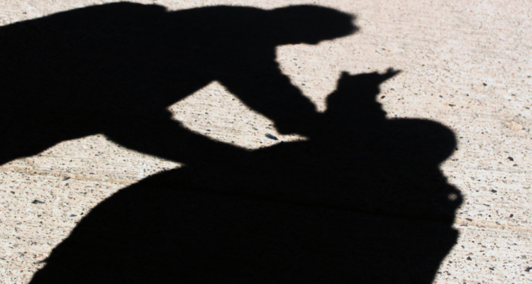 Seremi de educación tras riñas en colegio