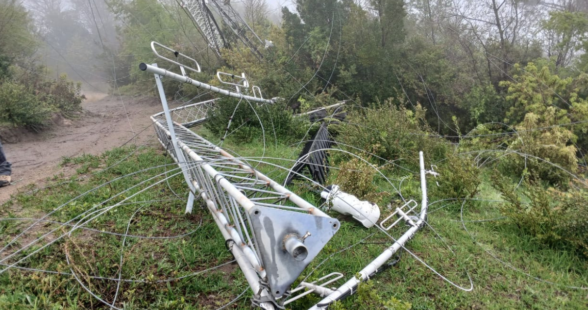 Desconocidos derriban torre de vigilancia contra incendios de empresa Arauco en Florida