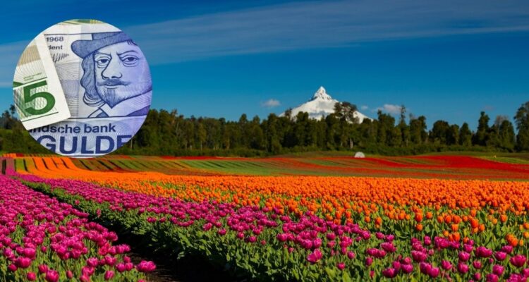 La historia de cuando un tulipán o las flores de tulipanes llegó a costar tanto como una casa en Países Bajos