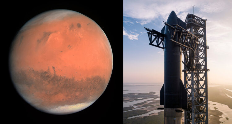 Elon Musk anuncia fechas para primeros viajes a Marte de su nave espacial Starship: enviará humanos