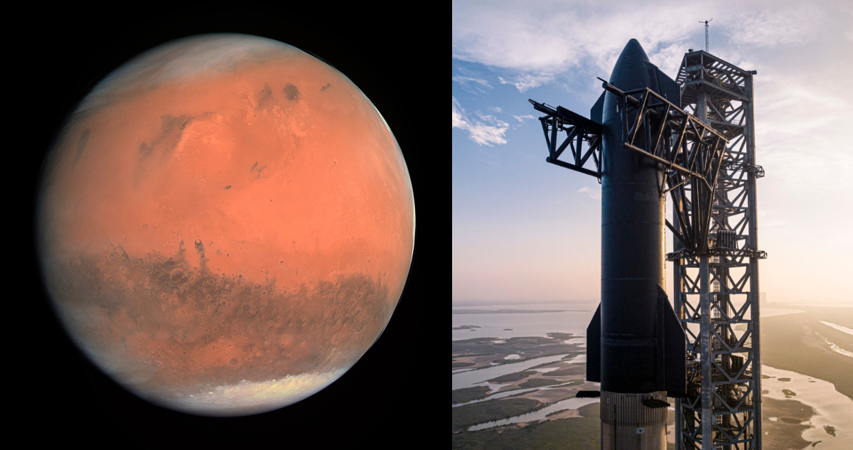 Elon Musk anuncia fechas para primeros viajes a Marte de su nave espacial Starship: enviará humanos