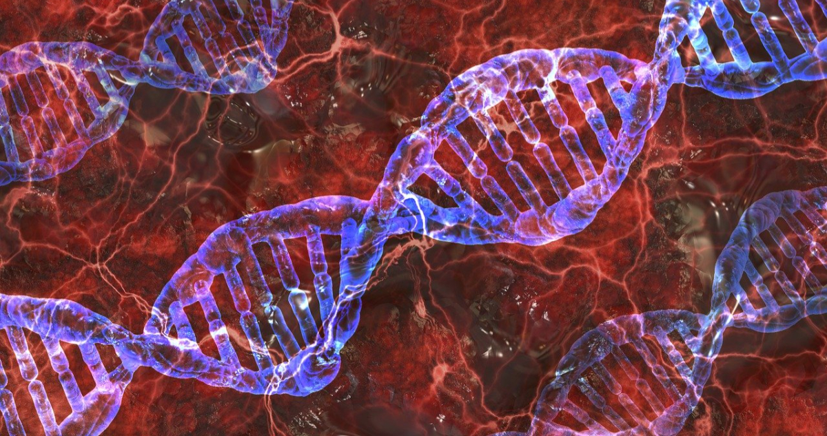 Estructura del ADN