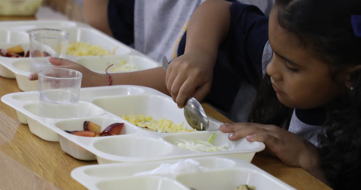 Destacan la importancia de la alimentación escolar y el impacto de la industria alimentaria en Chile