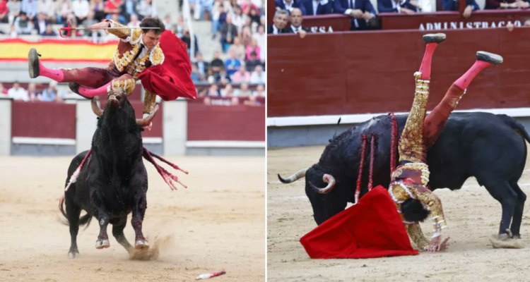 Corneada a Andrés Roca Rey