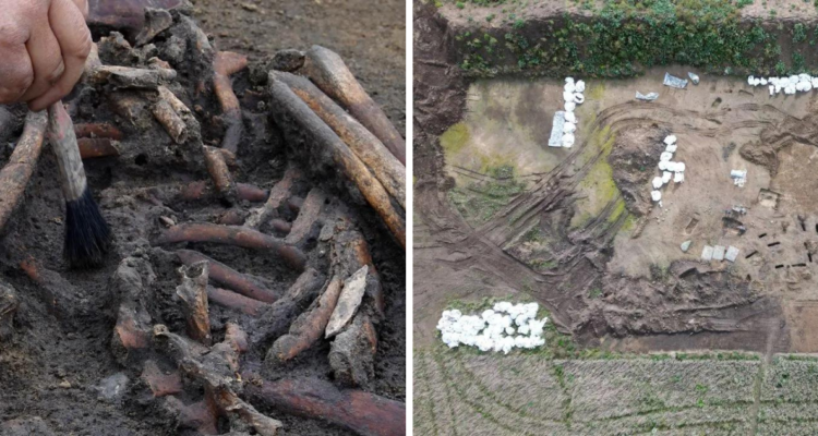 Arqueólogos descubren 50 esqueletos de vikingos “excepcionalmente bien conservados” en Dinamarca