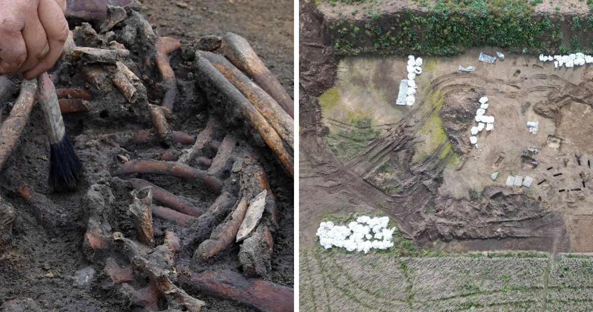 Arqueólogos descubren 50 esqueletos de vikingos “excepcionalmente bien conservados” en Dinamarca