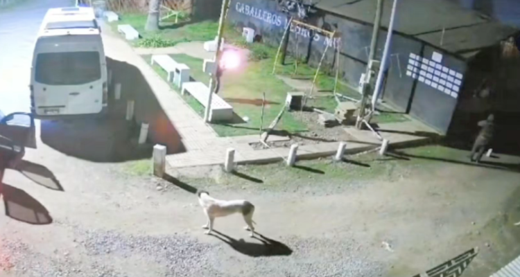 Agrupación argentina estaría tras ataque incendiario a agrupación de motoqueros de Romeral