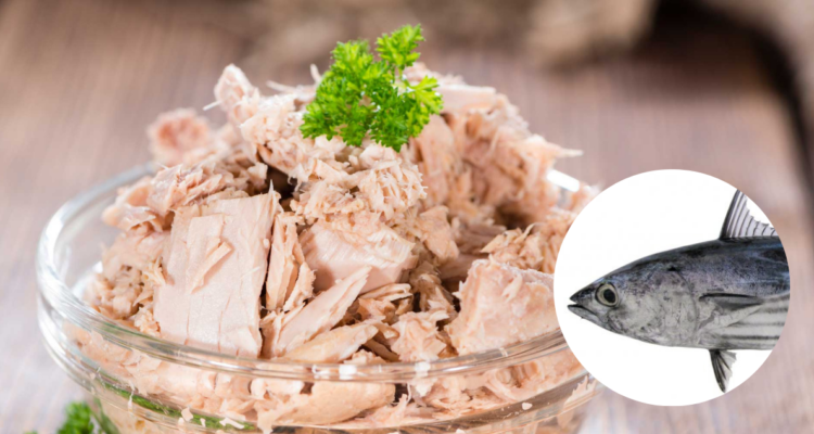 ¿Qué tan seguro es comer atún si tiene mercurio? Esta es la cantidad máxima que deberías ingerir