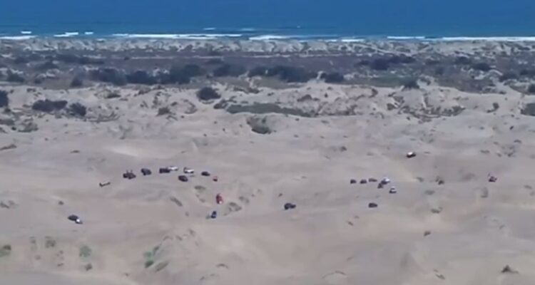 Autos en campo dunar en Quintero