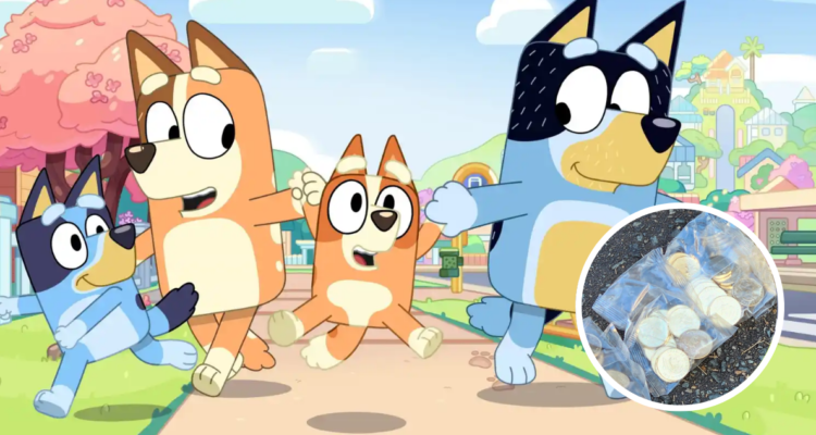 Poster promocional de dibujos animados Bluey y miniatura de monedas conmemorativas recuperadas