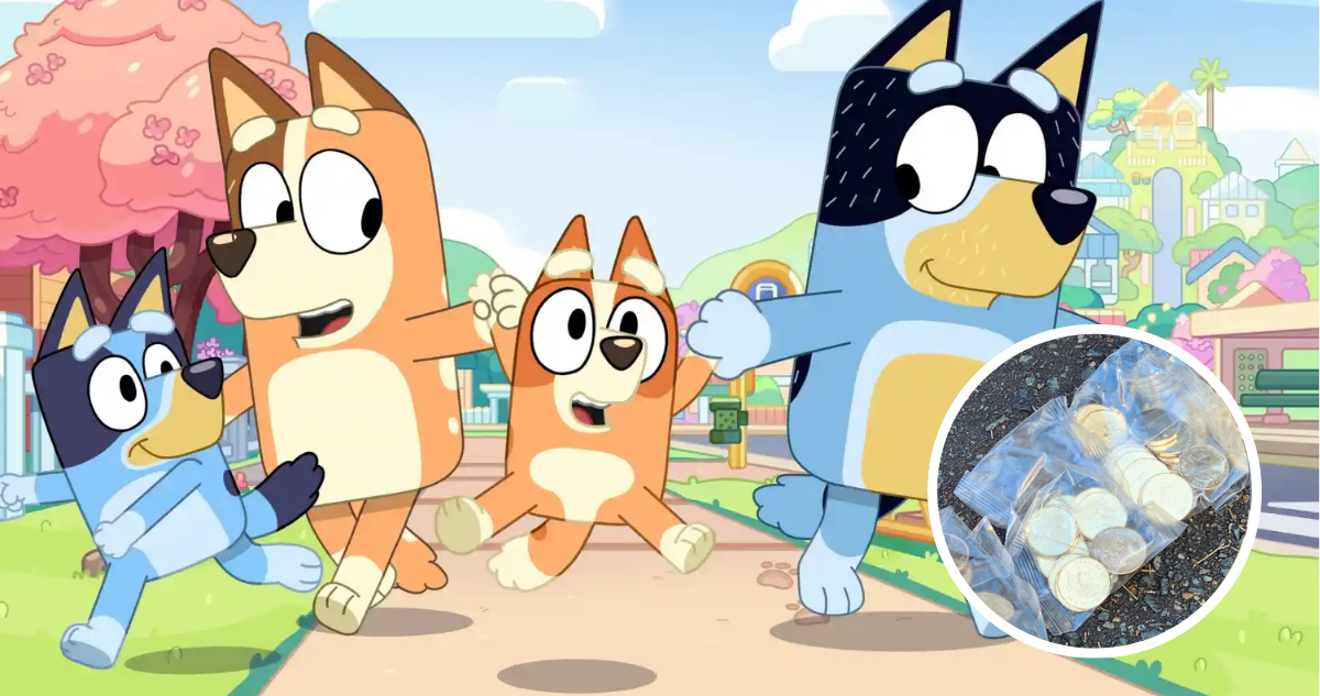 Poster promocional de dibujos animados Bluey y miniatura de monedas conmemorativas recuperadas