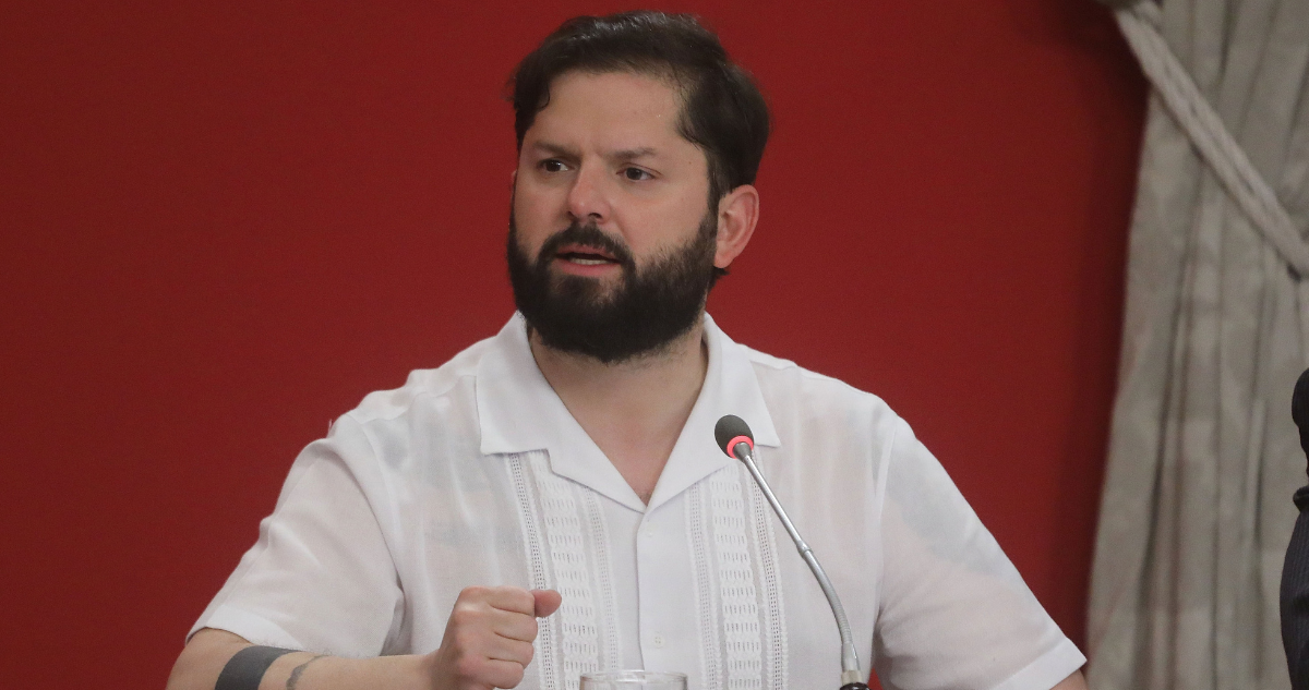 boric seguridad