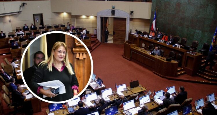 Cámara aprueba por aplastante mayoría segunda AC contra exministra Vivanco