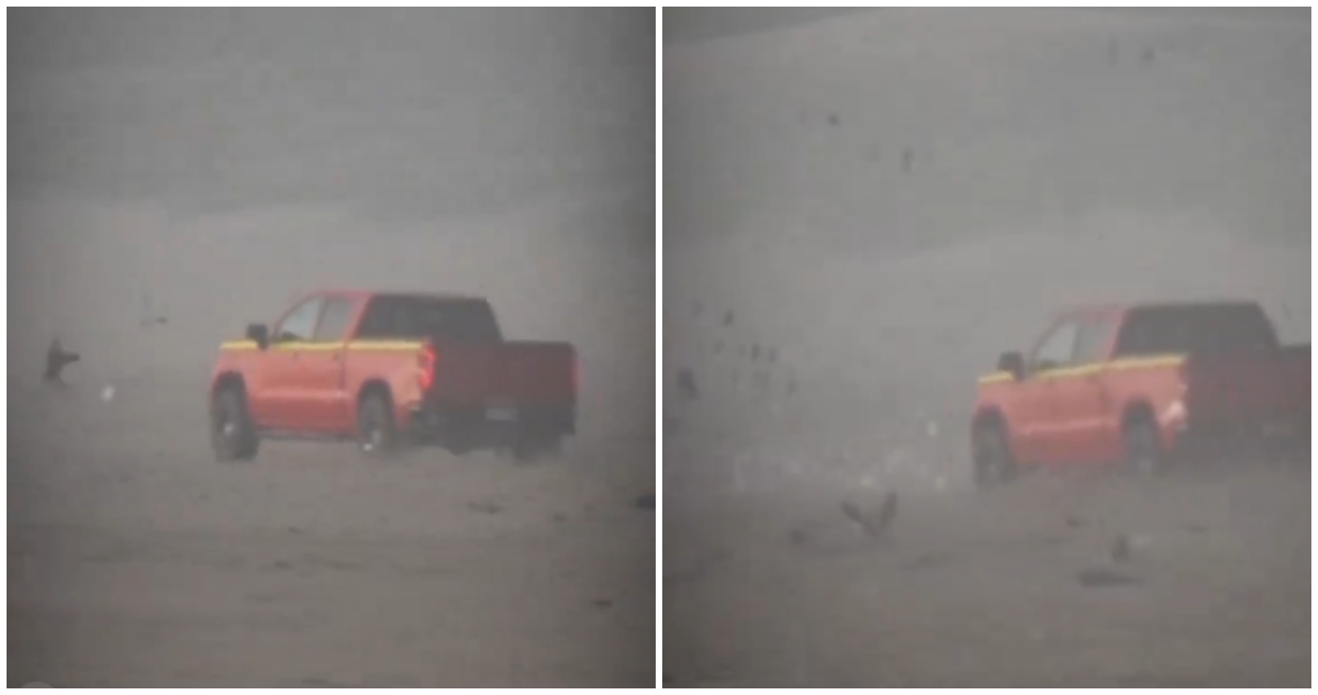 Camioneta atropella aves en playa Ritoque de Quintero