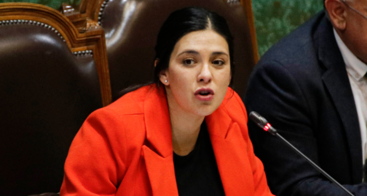 cariola diputado lavín