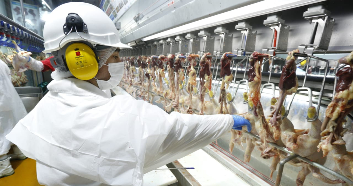 China puso fin a una prohibición y ahora carnes blancas chilenas podrán volver a exportarse a ese país