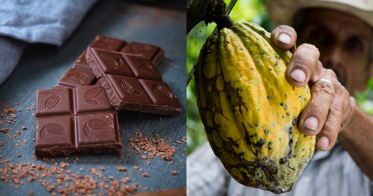 La ruta del chocolate en feria “Food & Service”: las novedades y productos de alta calidad en Chile