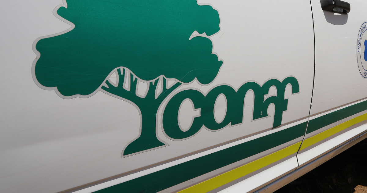 Camioneta de la Conaf por temporada de incendios forestales en La Araucanía