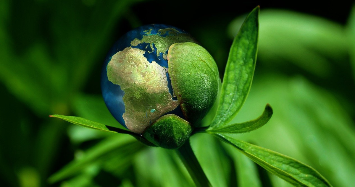 cop16