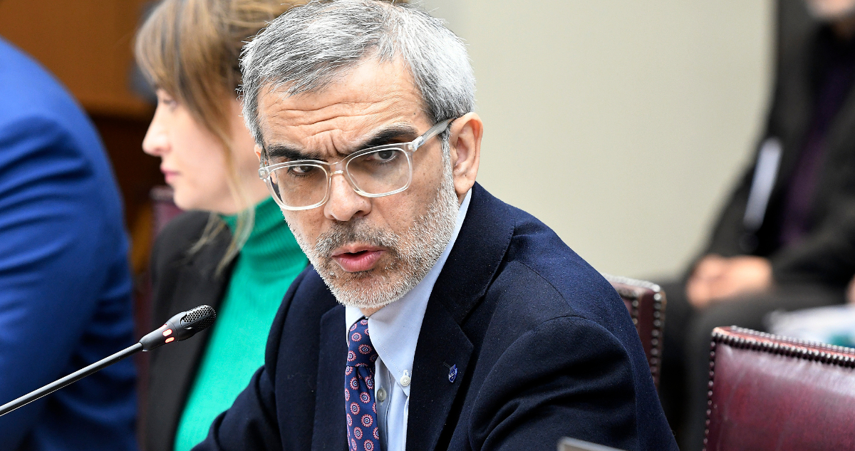 cordero vivanco