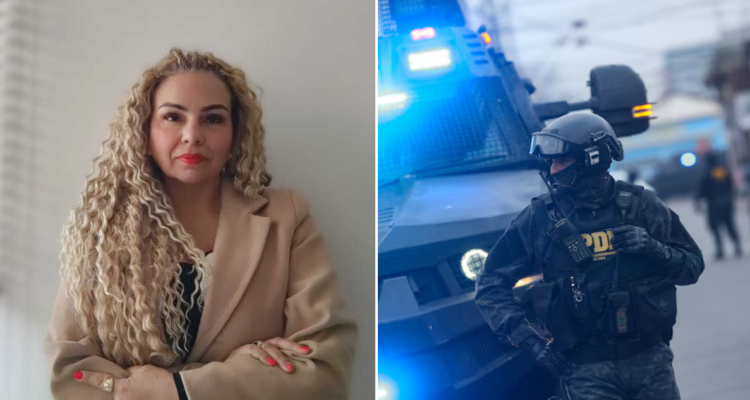 Perfiladora criminal