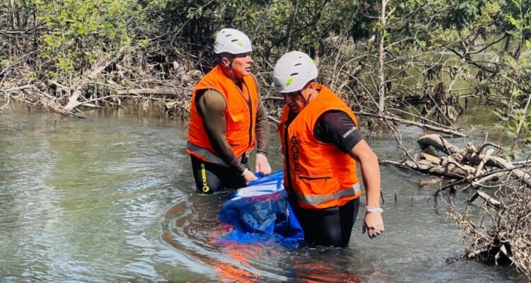 Encuentran cuerpo en ribera de río Ñuble
