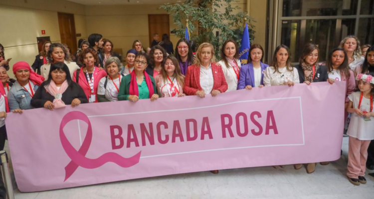 Diputadas conforman “Bancada Rosa”: abordará brechas en diagnóstico y tratamiento de cáncer en mujeres