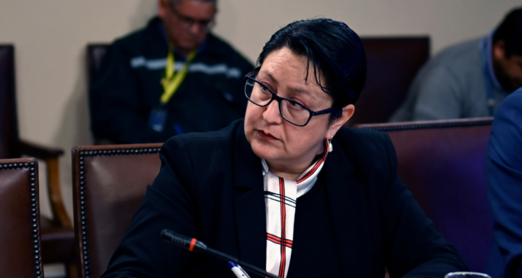 Dorothy Pérez como Contralora General de la República al Senado