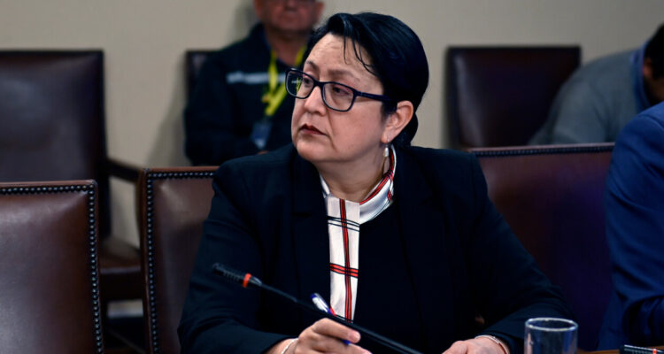 Dorothy Pérez expone en el Senado buscando convertirse en la titular de Contraloría: tendría los votos
