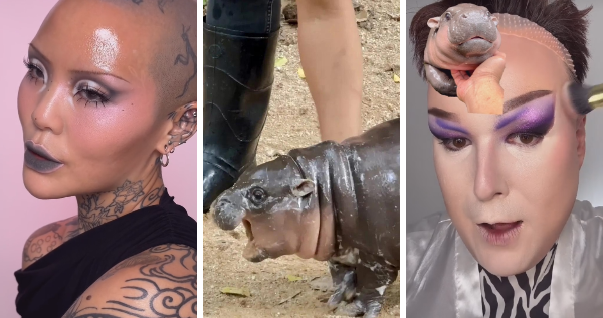 El pequeño hipopótamo pigmeo que cautivó con su ternura, ahora inspira nuevo trend de maquillaje.