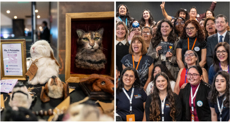 Emprendedoras de todo Chile participan en seminario para potenciar sus negocios