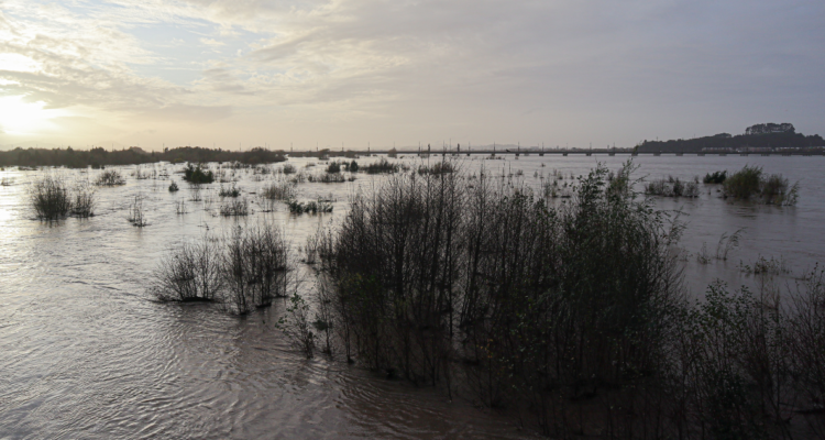 Encuentran cuerpo en la ribera del río Bío Bío a la altura de Hualqui: PDI realiza diligencias