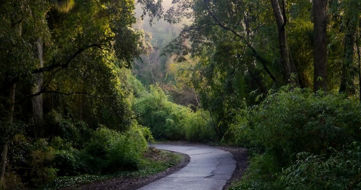 Qué parques nacionales tendrán entradas gratuitas esta semana en cada región de Chile y cómo o dónde obtener tus entradas gratis para el acceso liberado.