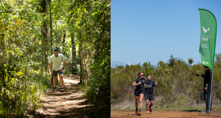 Más de 50 corredores entrenaron para el evento de trail running Frontera Trail en Parque CMPC Pumalal
