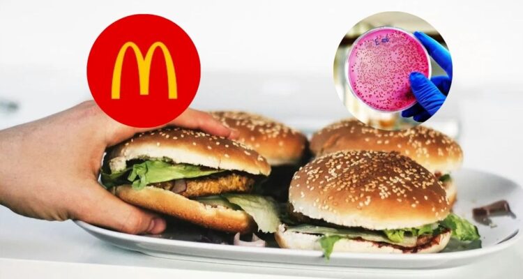 Qué es la Escherichia Coli: la mortal bacteria causante de un brote por comer hamburguesas Cuarto de Libra en McDonald’s de EE.UU