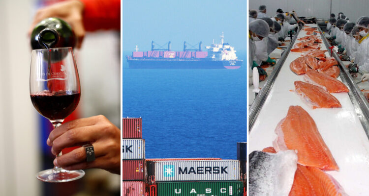 Vino, salmón y fruta chilena: las exportaciones que peligran por histórica huelga portuaria en EEUU